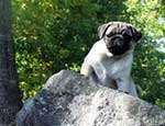 Dora the rock climber